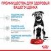 Royal Canin Maxi Puppy Корм сухой для щенков пород крупных размеров (вес 26 - 44 кг) до 15 месяцев – интернет-магазин Ле’Муррр